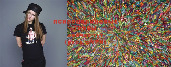 винт Покачи