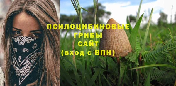 винт Покачи