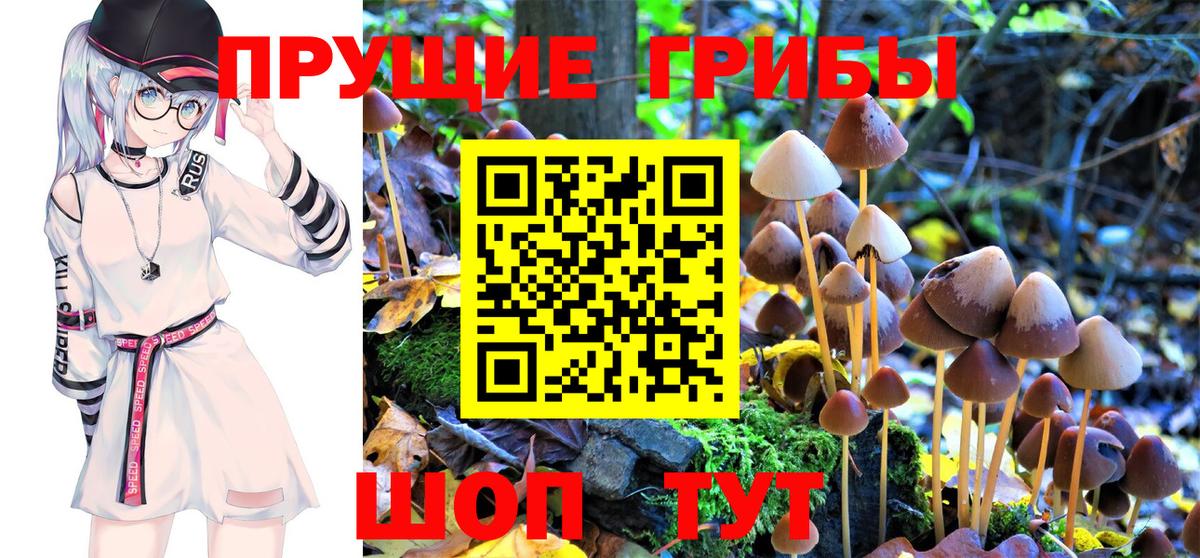 магазин    Галлюциногенные грибы MAGIC MUSHROOMS  Вход с VPN  Коряжма  Галлюциногенные грибы GOLDEN TEACHER 