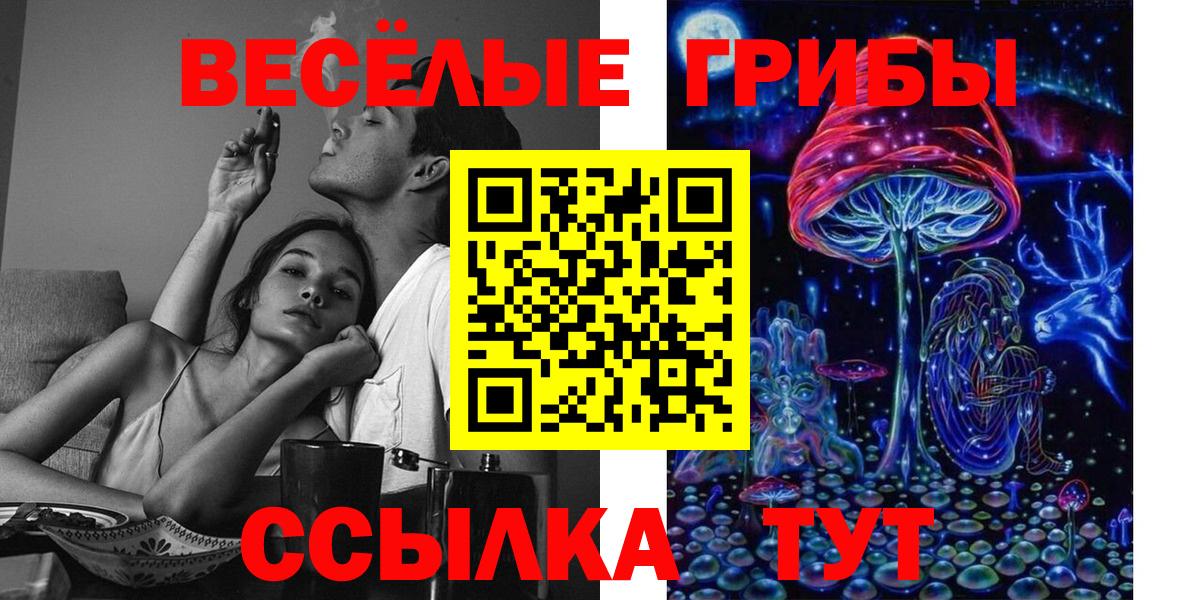 Галлюциногенные грибы ЛСД Коряжма