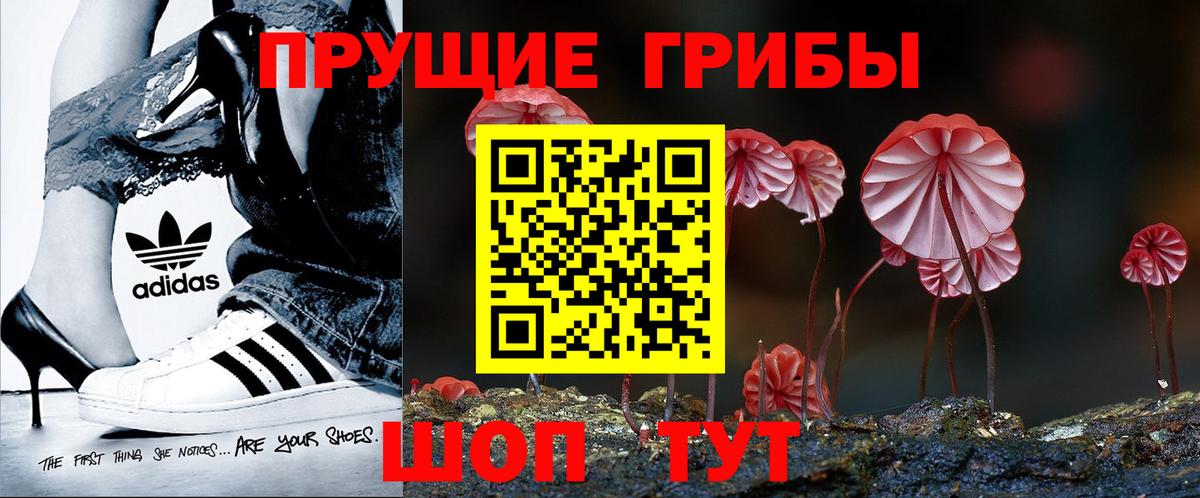 Галлюциногенные грибы мицелий Коряжма