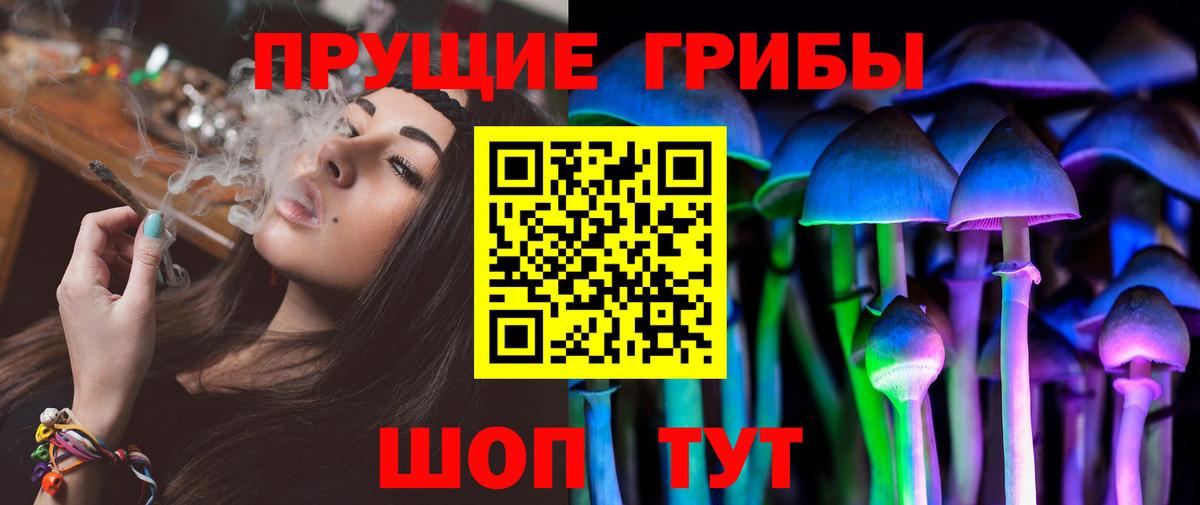 Псилоцибиновые грибы Psilocybe  как найти   Галлюциногенные грибы Cubensis  Коряжма 