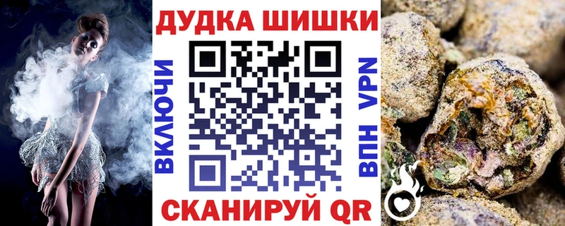 Каннабис сатива Коряжма
